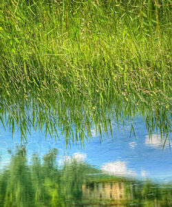 The house in the river