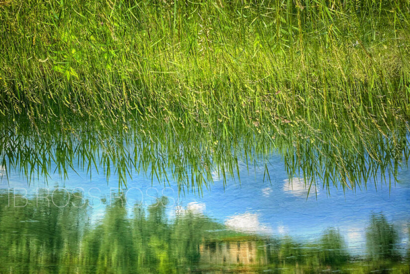 The house in the river